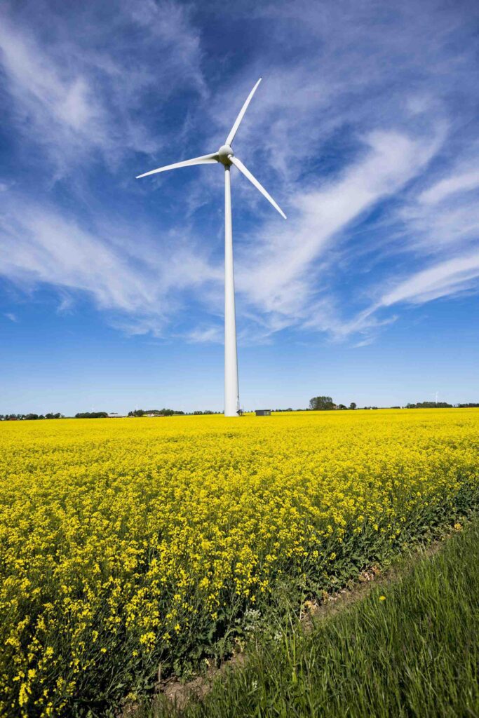 A wind turbine stands in a field of yellow flowering plants under a blue sky with scattered clouds, symbolising the future of energy and electronics manufacturing.